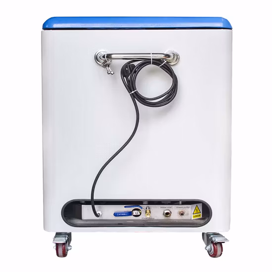 Goclean 6.0 Dry and Wet Steam Washer Car